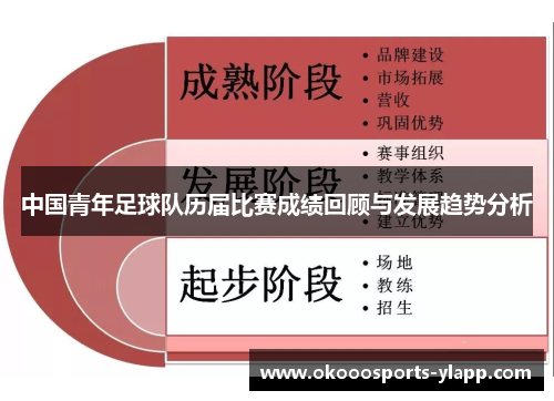 中国青年足球队历届比赛成绩回顾与发展趋势分析