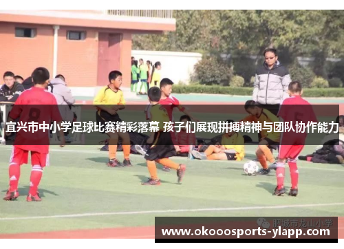 宜兴市中小学足球比赛精彩落幕 孩子们展现拼搏精神与团队协作能力