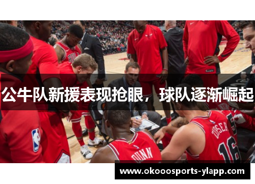 公牛队新援表现抢眼，球队逐渐崛起