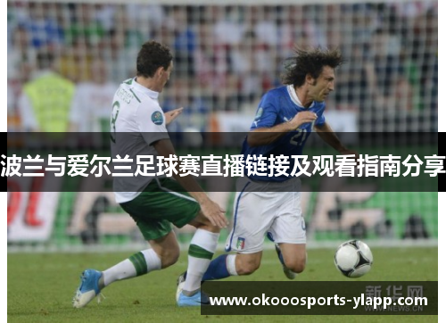 波兰与爱尔兰足球赛直播链接及观看指南分享