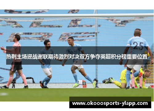 热刺主场迎战谢联期待激烈对决双方争夺英超积分榜重要位置