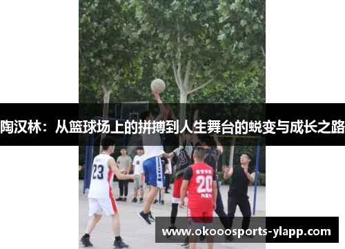 陶汉林：从篮球场上的拼搏到人生舞台的蜕变与成长之路